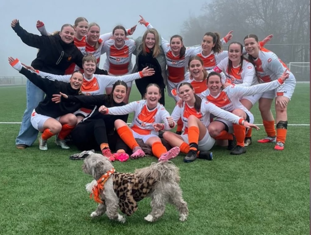 Vrouwen 1 koploper af na nederlaag